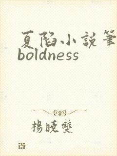 夏陷小说笔趣阁boldness封面