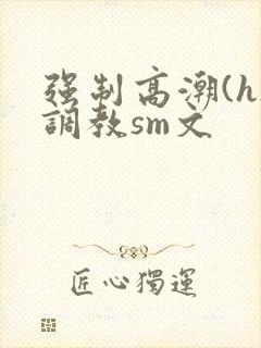 强制高潮(h)调教sm文