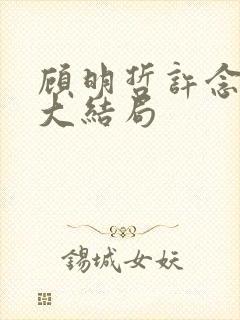 顾明哲许念小说大结局