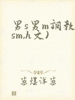 男s男m调教(sm,h文)
