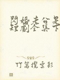 闪婚老公是豪门短剧全集下载