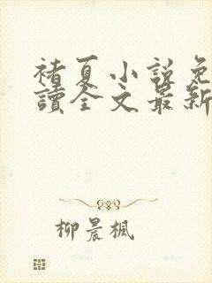褚夏小说免费阅读全文最新章节封面