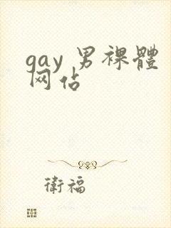 gay 男裸体网站封面