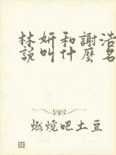 林妍和谢浩然小说叫什么名字
