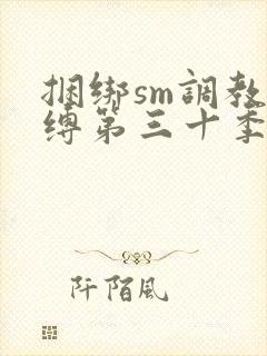 捆绑sm调教束缚第三十季