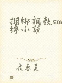 捆绑调教sm束缚小说