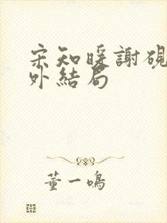 宋知暖谢砚京番外结局