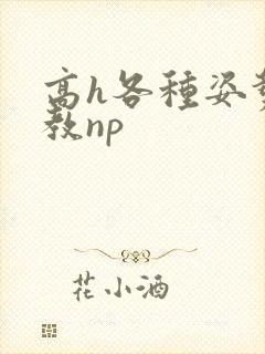 高h各种姿势调教np封面