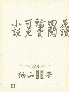 小可轮回原著小说免费阅读