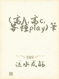 (高h,高c,各种play)笔趣阁