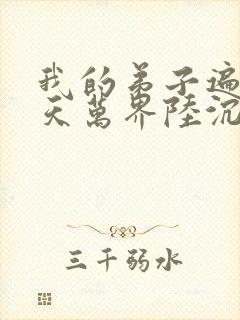 我的弟子遍布诸天万界陆沉小说