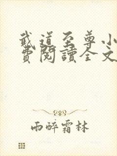 武道至尊小说免费阅读全文