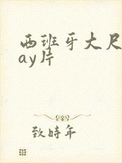 西班牙大尺度gay片