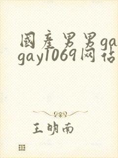 国产男男gaygay1069网站