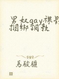 男奴gay裸体捆绑调教