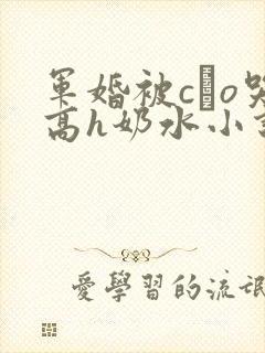 军婚被cαo哭高h奶水小说封面