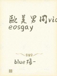 欧美男同videosgay