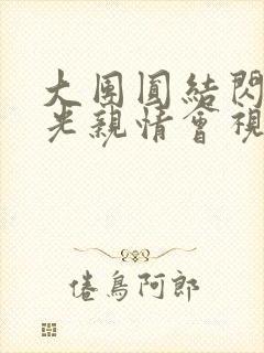 大团圆结闪闪发光亲情会视频
