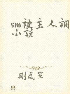 sm被主人调教小说