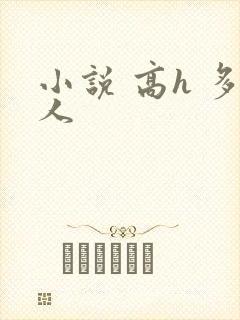 小说 高h 多人
