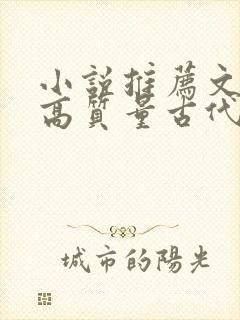 小说推荐文笔好高质量古代言情