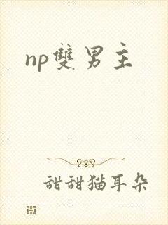 np双男主