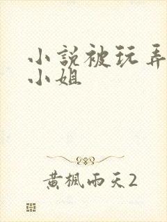 小说被玩弄的大小姐