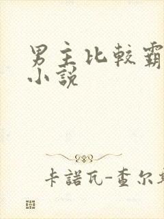 男主比较霸道的小说