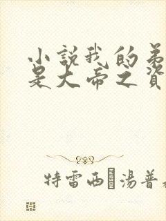 小说我的弟子全是大帝之资陆长生