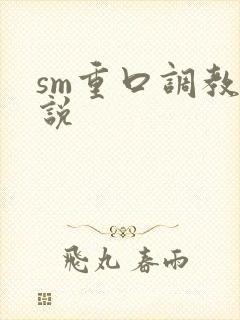 sm重口调教小说