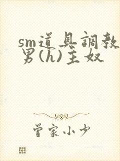 sm道具调教男男(h)主奴