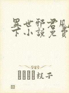 异世邪君风凌天下小说免费阅读全文