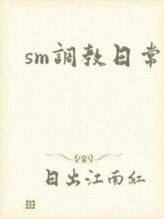 sm调教日常文封面