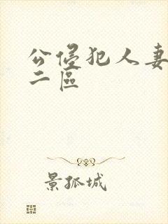 公侵犯人妻一区二区