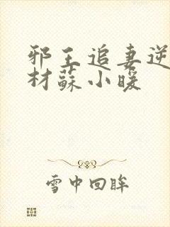 邪王追妻逆天废材苏小暖封面