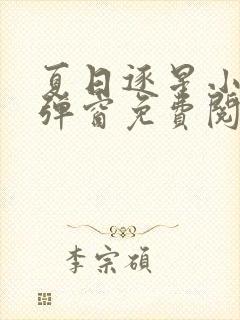 夏日逐星小说无弹窗免费阅读全文