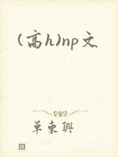 (高h)np文