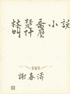 林楚乔小说主角叫什么