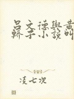 吕文德与黄蓉的轿子小说叫什么名字