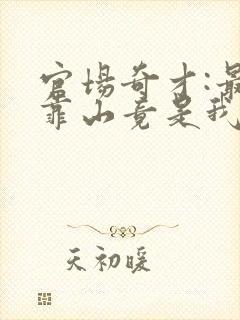 官场奇才:最强靠山竟是我自己》