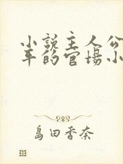 小说主人公叫周平的官场小说