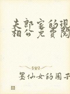 夫郎家的现代小相公免费阅读