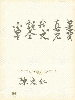 小说我真是大明星全文免费阅读