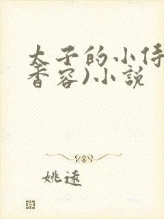 太子的小侍妾(香容)小说