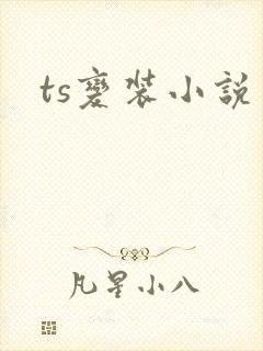 ts变装小说