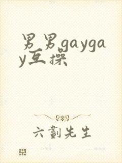 男男gaygay互操