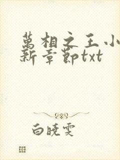 万相之王小说最新章节txt