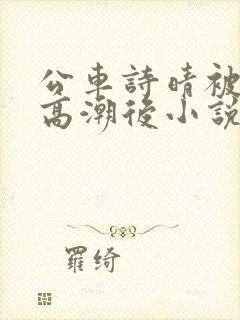 公车诗晴被弄到高潮后小说封面