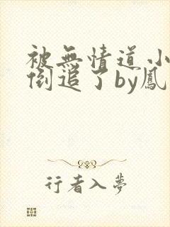 被无情道小师弟倒追了by凤歌封面