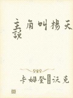 主角叫杨天的小说封面